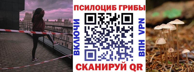 Купить где  Похвистнево  Галлюциногенные грибы GOLDEN TEACHER 